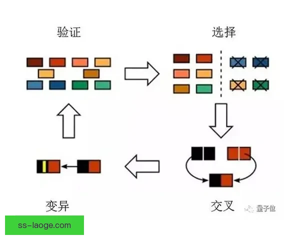 世界杯国家队热身赛战术调整释放信号赔率变化与走势解读市场 世界杯国家队热身赛战术调整释放信号赔率变化与走势解读市场